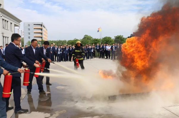kok(中国)体育官方网站
打造“泓源红”党建品牌助推高质量发展(图13)